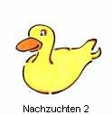 Nachzuchten 2